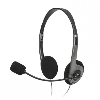 SVEN AP-015MV: Click for zoom